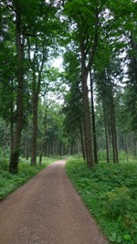 Fahrrder im Zollhaus, Radeln, Tourenbeschreibungen im Erzgebirge