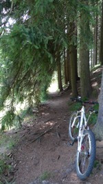 Ticcoon, Tandra von Steppenwolf, Infos ber Biken im Osterzgebirge