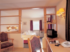 accommodation in Germany Erzgebirge, garden view, forrest view, lake view, TV, double bed, king size bed